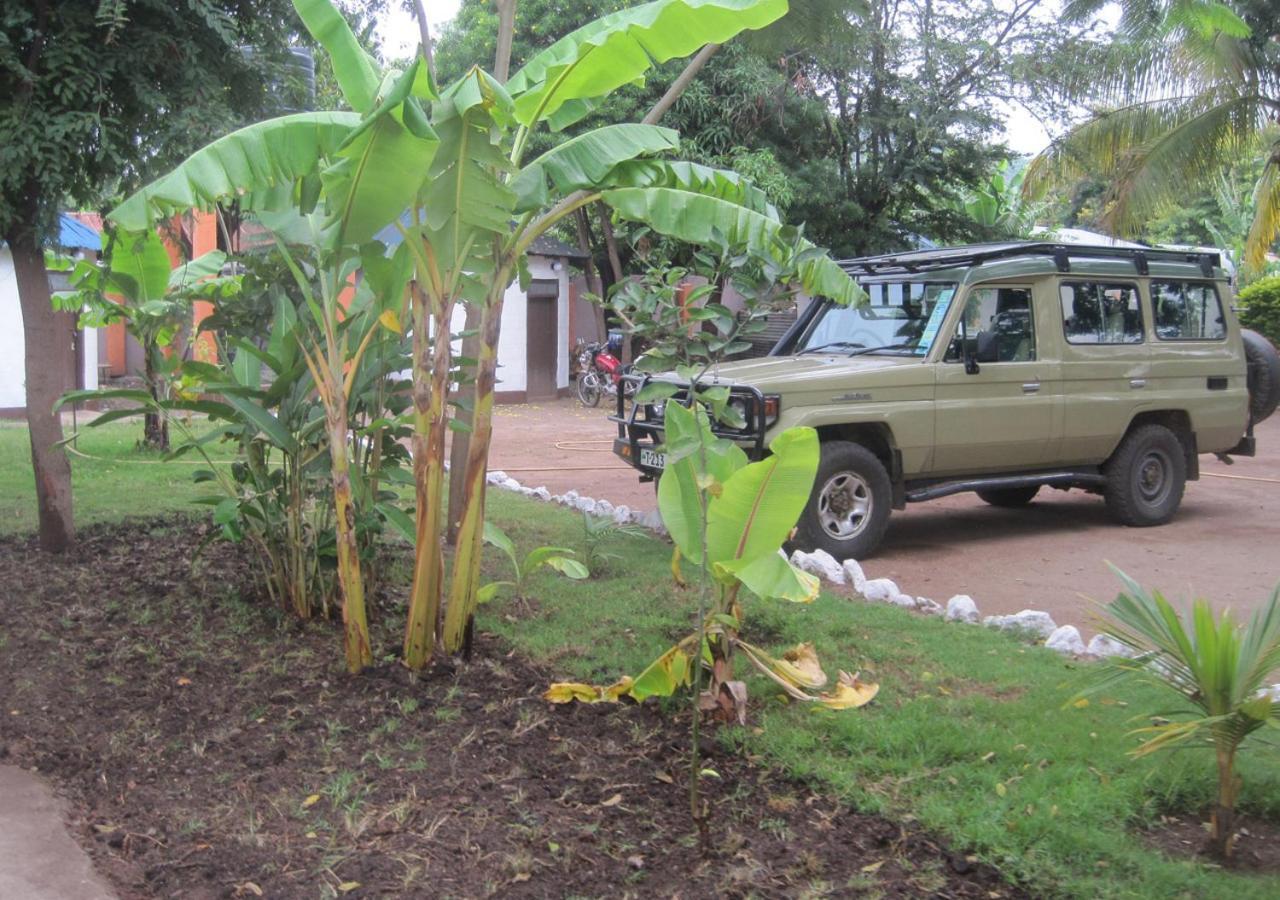 Fig Tree Lodge Camp Mto wa Mbu Exterior photo